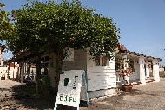 Cajon to Seed（カホントゥシード） 