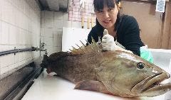 クエ料理専門店 大海