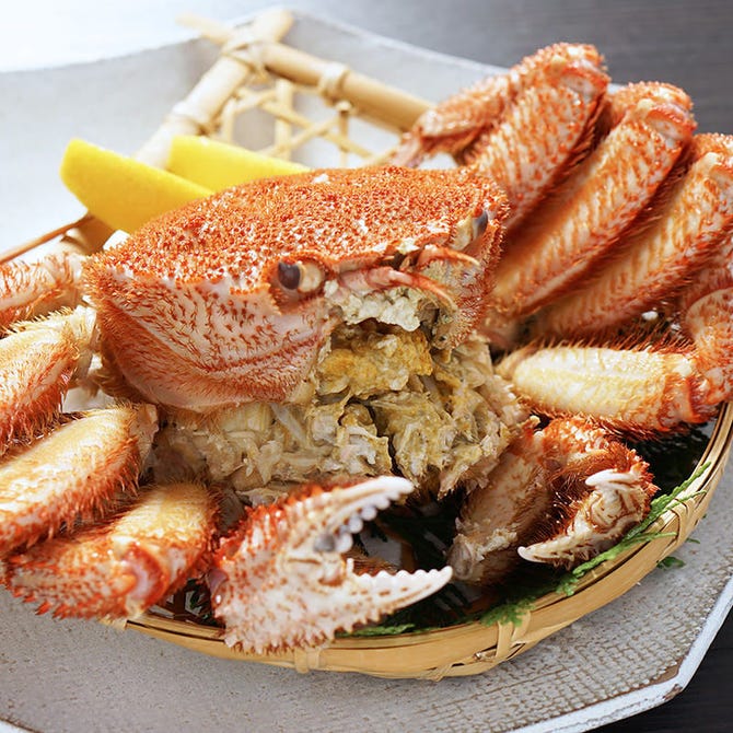 炭焼 寿し処 炙屋 大通ビッセ店 札幌大通 狸小路 海鮮 海鮮料理 ぐるなび 炭焼 寿し処 炙屋 大通ビッセ店 札幌大通 狸小路 海鮮 海鮮料理 ぐるなび