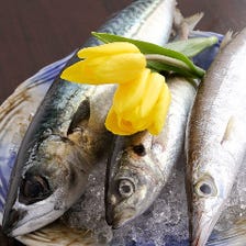 産地直送鮮魚にこだわり