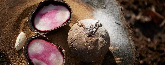 Cuisine regionale L’evo キュイジーヌ・レジョナル・レヴォ