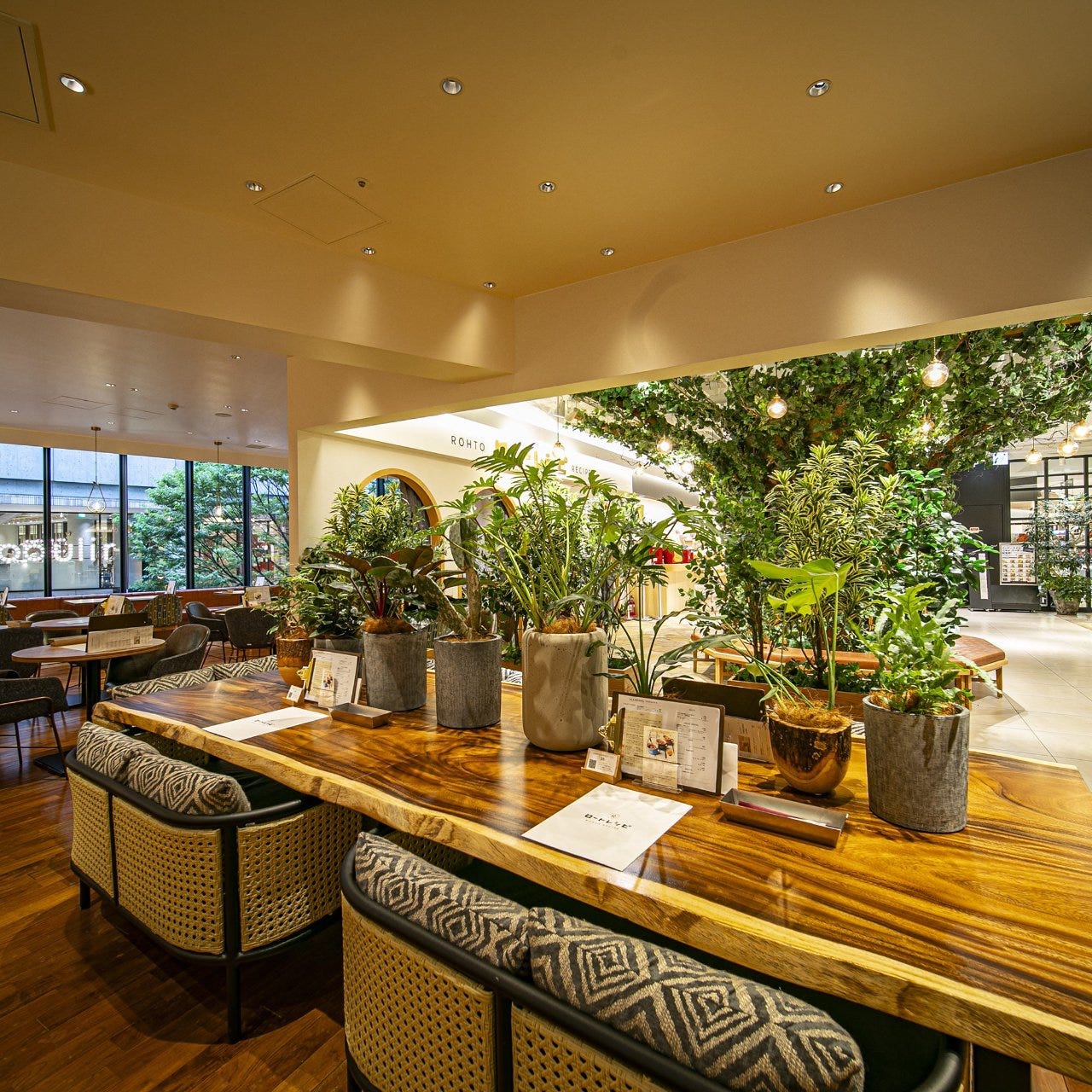 観葉植物が並べられた落ち着いた雰囲気の木のテーブル