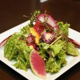旬の新鮮野菜でつくる「矢島農園のサラダ」は瑞々しい味わい
