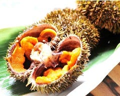 こちら とれたて根室港