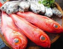 魚が活きる、一番おいしい調理法！