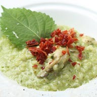 オイスターバー&レストラン オストレア 銀座コリドー通り店_「6000円コース」生牡蠣2種を始め、牡蠣フライ&牡蠣グラタンなど