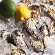 オイスターバー&レストラン オストレア 銀座コリドー通り店_極上の牡蠣の旨味を知る喜び