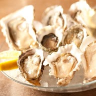 オイスターバー&レストラン オストレア 銀座コリドー通り店_「7000円コース」生牡蠣2種を始め、牡蠣フライ&牡蠣グラタンなど