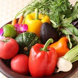 『鎌倉野菜』【神奈川県鎌倉市】