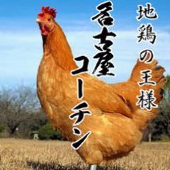【名古屋コーチン】★地鶏の王様
