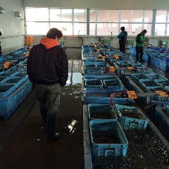 現地へ直接足を運んで目利き!鮮度には自信あります!
