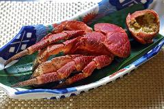 割烹 魚宮
