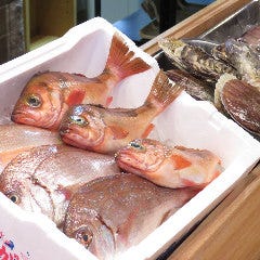 炉端 炭じろ