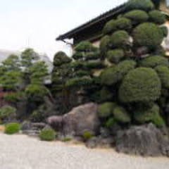 小島屋