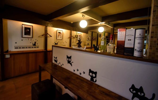 Dining Bar Cat ダイニングバーキャット 浜松駅周辺 ダイニングバー ぐるなび