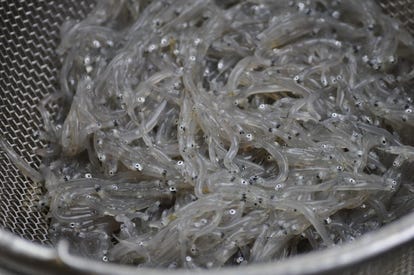 ゆったり個室 平塚で食事 ディナー 人気の完全個室 ソファー席など ぐるなび ゆったり個室 平塚で食事 ディナー 人気の完全個室 ソファー席など ぐるなび