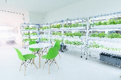 清川テラスCafe＋