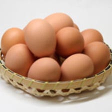 鹿児島から直送の新鮮卵