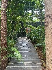 アグーしゃぶしゃぶ 今帰仁の森