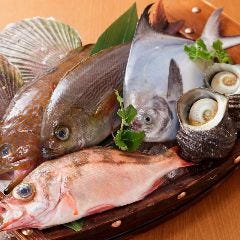 新鮮魚介と旬野菜和食 権之介 梅田
