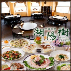 湖陽樹 谷町店