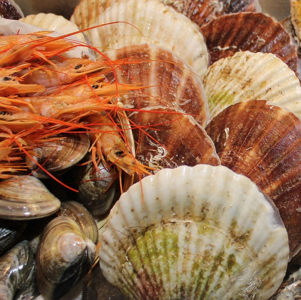 かき小屋 高円寺 写真 ぐるなび