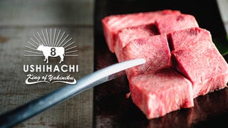 渋谷 和牛焼肉 USHIHACHI 極