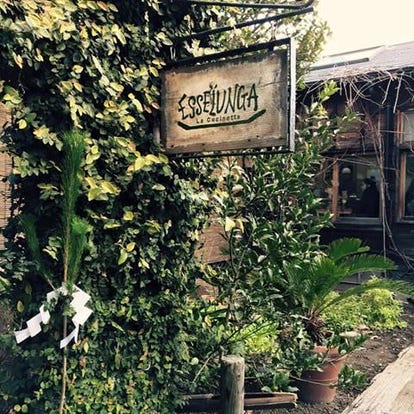 イタリアンの美味しいお店 鎌倉でおすすめしたい人気のお店 ぐるなび