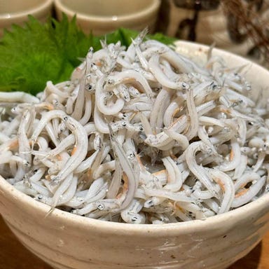 生しらす・桜エビ・もつ焼肉 静岡郷土料理 羽六_【田子の浦港直送】こぼれ釜揚げしらす