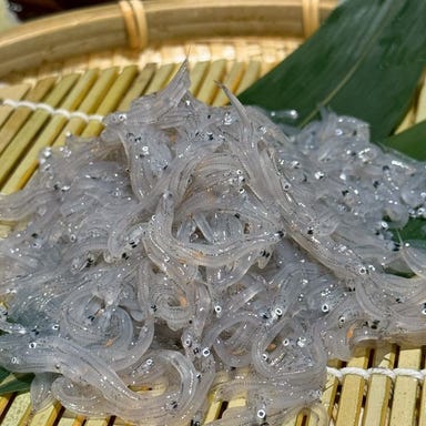 生しらす・桜エビ・もつ焼肉 静岡郷土料理 羽六_【田子の浦港直送】生しらす