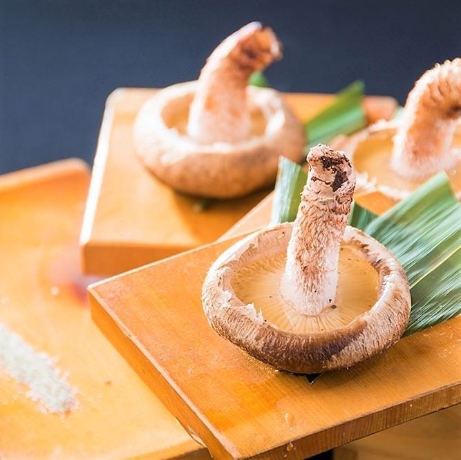 あかつき 熊谷 行田 居酒屋 ぐるなび