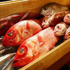 旬の産直鮮魚を楽しむ“海鮮料理”
