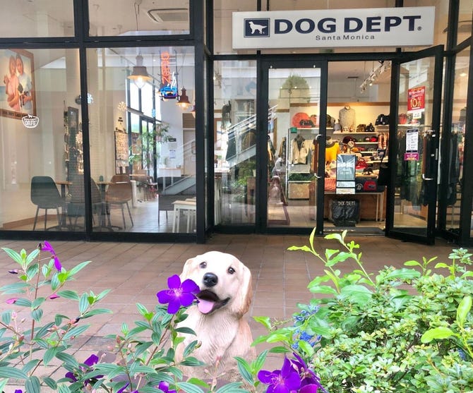 Dog Dept Cafeレイクタウンアウトレット店 越谷 ドッグカフェ ぐるなび