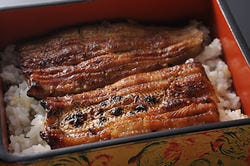 うなぎが美味しいお店 御茶ノ水でおすすめしたい人気のお店 ぐるなび