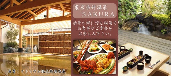 東京 温泉 日帰り デート 東京染井温泉 SAKURA