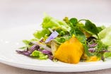 13品目以上の野菜を使用した、淡路島ガーデンサラダ。