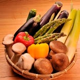 産地直送の新鮮な野菜をカウンターに並べております。