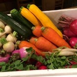 信州から直送のシャキシャキな野菜たち【長野県】