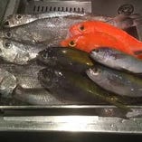 駿河湾から直送される鮮度バツグンの魚介類【静岡県】