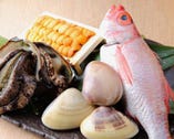 旬の鮮魚を使った料理の数々♪