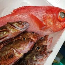 横須賀魚市場直送の新鮮鮮魚を提供！