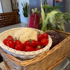 パン食べ放題×お野菜とハンバーグ ソルビバ＆タジマヤ千里中央店 