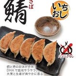 大葉香る鶏×鯖餃子