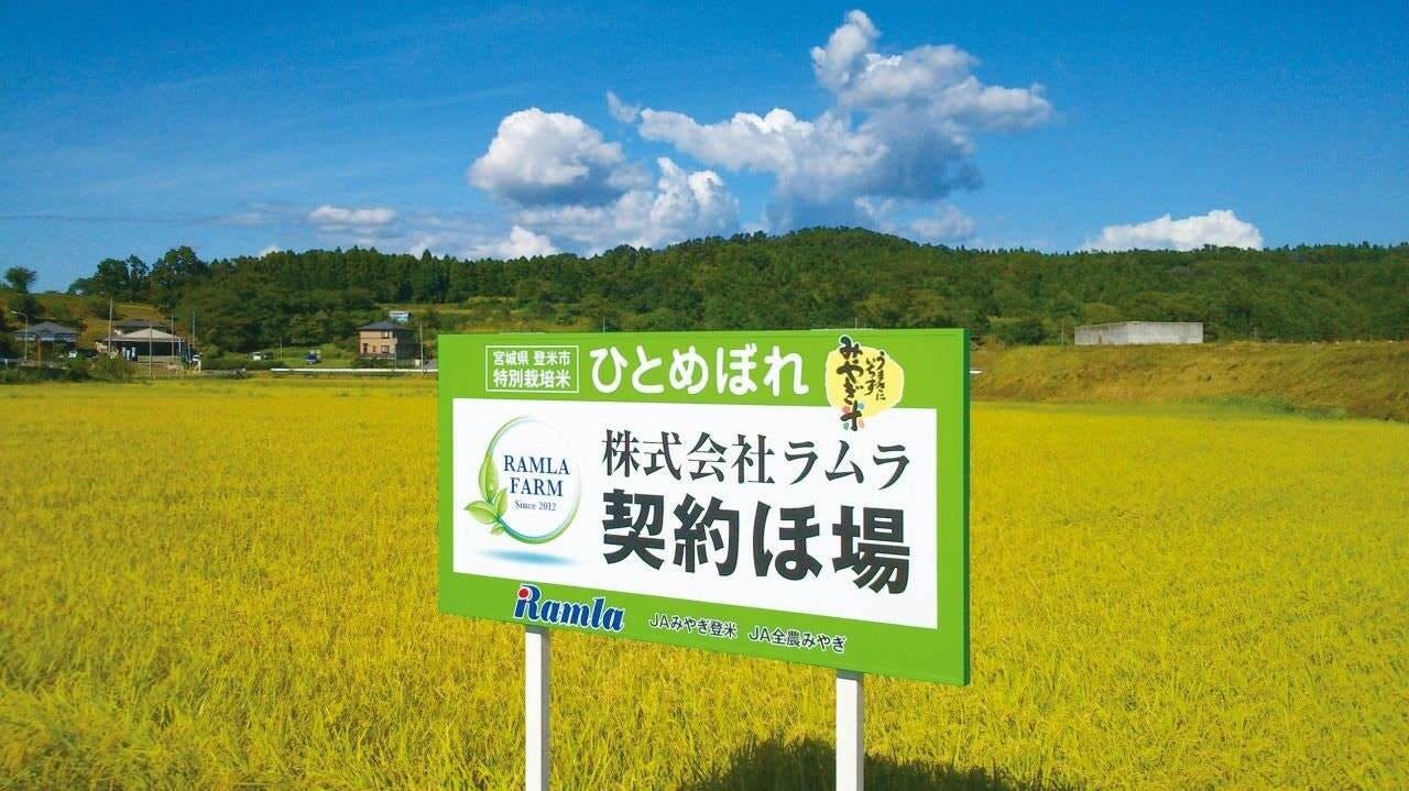 減農薬米