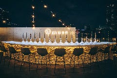 シーシャカフェ＆バー muse ミューズ なんば道頓堀店