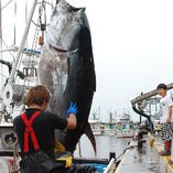 ・・…○●　【青森】大間　まぐろ　　Oma Bluefin tuna, Aomori prefecture　 ●○…・・