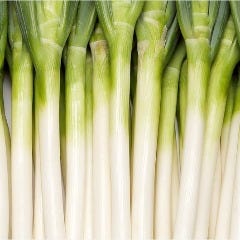 地鶏炭火串焼家 鳥こまち 前橋本店 自慢の食材 千寿葱 せんじゅねぎ ぐるなび