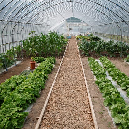 ランチならここ 富良野 美瑛の昼食 ご飯でおすすめしたい人気のお店 ぐるなび