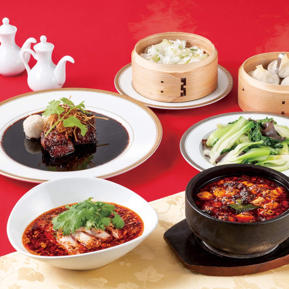 中華 四川料理 Wang S Garden 武蔵小杉店 武蔵小杉 元住吉 居酒屋 ぐるなび