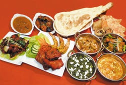 Naina Indian Restaurant 2号店 川崎 インド料理 ぐるなび